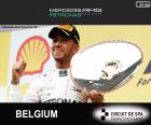 Lewis Hamilton 2015 Belçika Grand Prix zaferi kutluyor